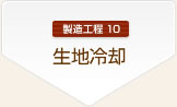 H10Fnp